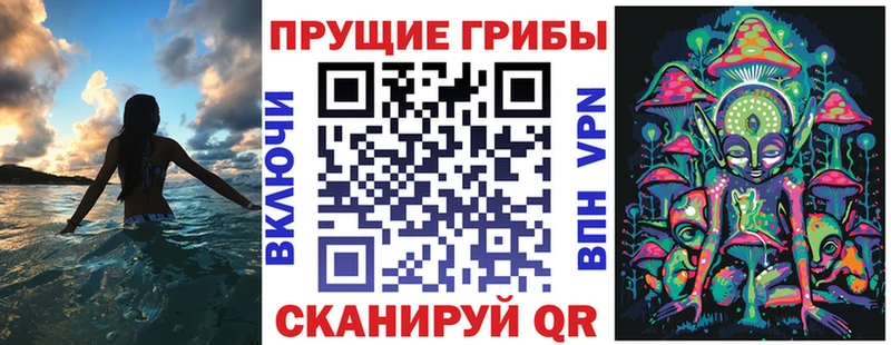 Купить  Жуков  Псилоцибиновые грибы прущие грибы 